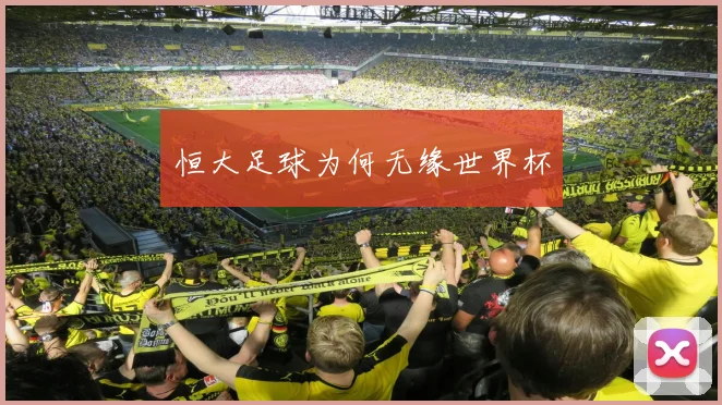恒大足球为何无缘世界杯